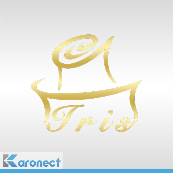 طراحی لوگوترکیبی به سفارش فروشگاه آیریس لوگوترکیبی